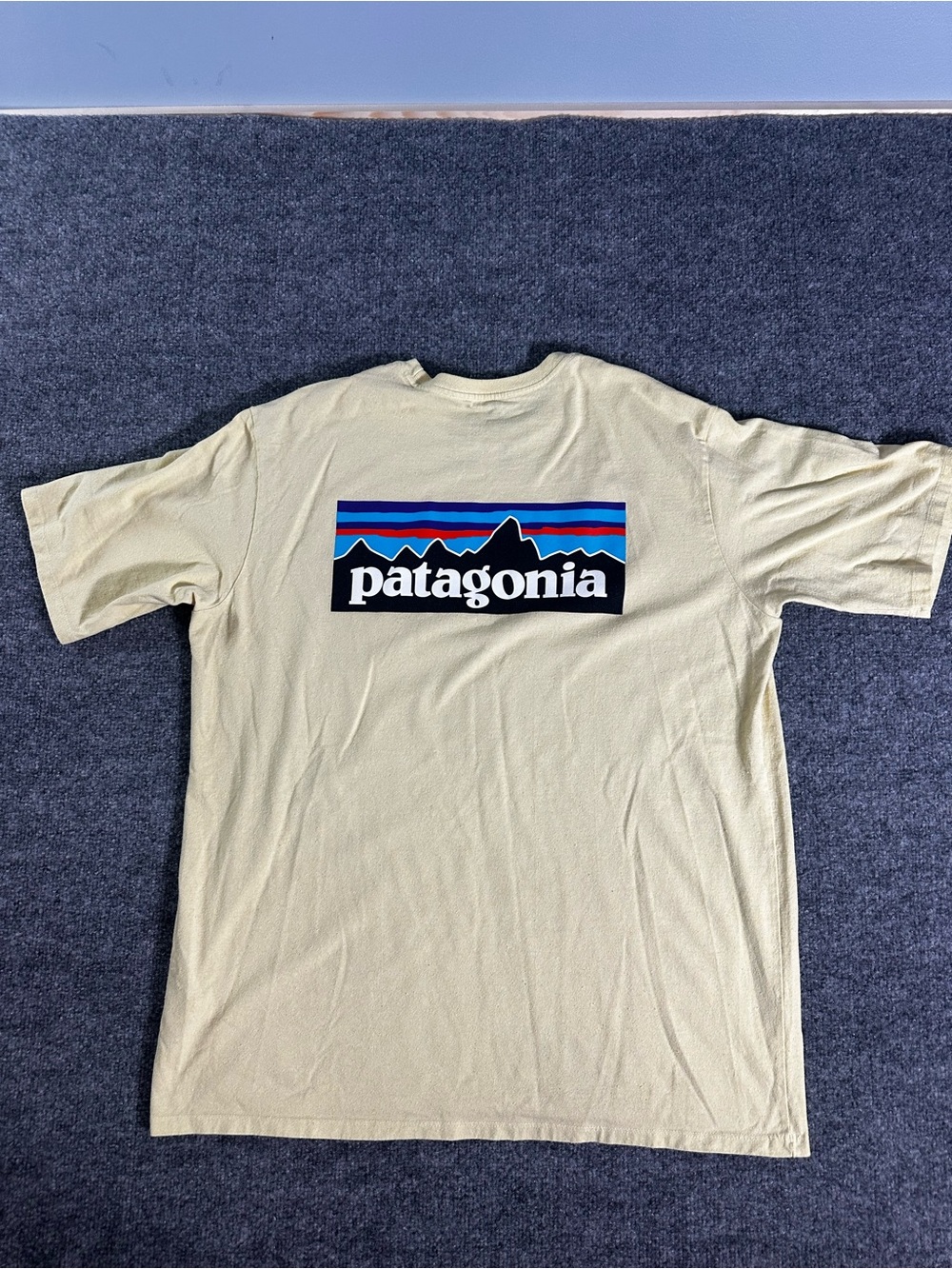 Patagonia Men's Classic Logo T-Shirt in Yellow